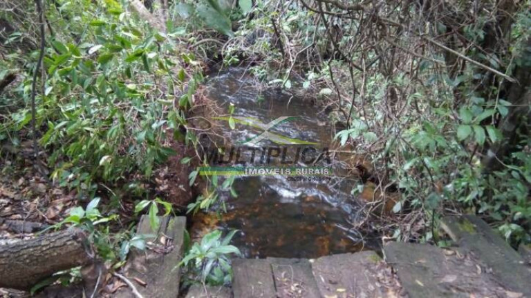 Imagem Fazenda à Venda, 445 m² em Bonito De Minas Imagem Fazenda à Venda, 445 m² em Bonito De Minas