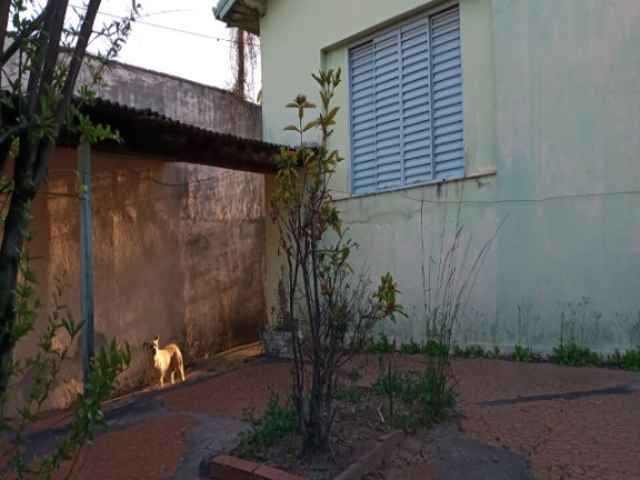 Imagem Terreno para Alugar ou Temporada, 1.510 m² em Jardim Pacaembu - Jundiaí Imagem Terreno para Alugar ou Temporada, 1.510 m² em Jardim Pacaembu - Jundiaí
