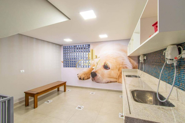 Imagem Apartamento com 3 Quartos à Venda, 97 m² em Monte Verde - Florianópolis Imagem Apartamento com 3 Quartos à Venda, 97 m² em Monte Verde - Florianópolis