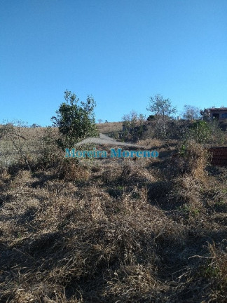 Imagem Imóvel com 2 Quartos à Venda, 7.000 m² em Zona Rural - Borda Da Mata