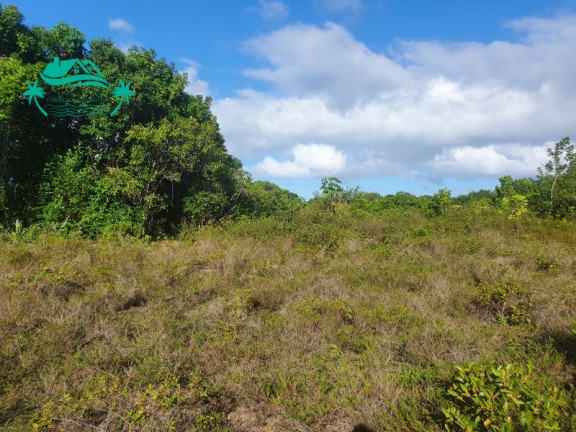 Imagem Imóvel à Venda,  em Porto Sauípe - Entre Rios