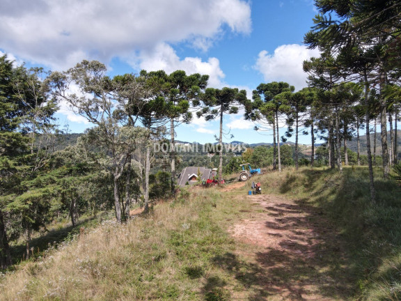 Imagem Terreno à Venda, 2.420 m² em Região De Descansópolis - Campos Do Jordão Imagem Terreno à Venda, 2.420 m² em Região De Descansópolis - Campos Do Jordão