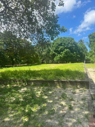 Imagem Terreno à Venda, 8.000 m² em Itapoã - Caucaia
