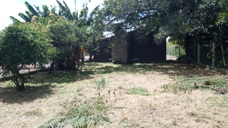 Imagem Chácara com 2 Quartos à Venda,  em Frei Sebastião - Palmares Do Sul