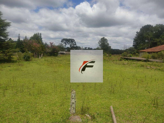 Imagem Terreno à Venda, 44.162 m² em Lapa - Mariental