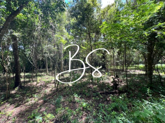 Imagem Imóvel à Venda, 80.000 m² em Rs020 - Três Coroas