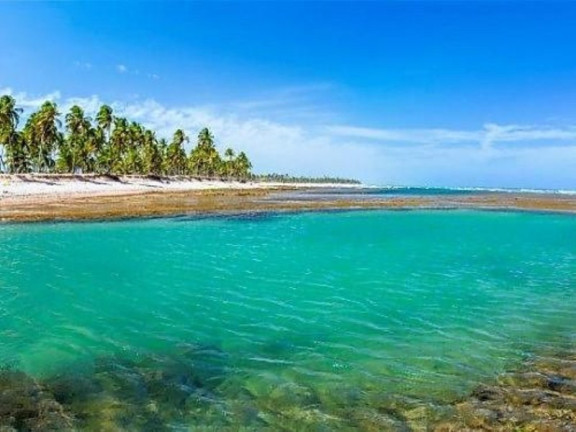 Imagem Terreno à Venda, 700 m² em Praia Do Forte - Mata De São João Imagem Terreno à Venda, 700 m² em Praia Do Forte - Mata De São João