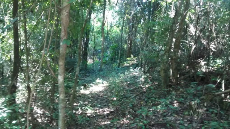 Imagem Terreno à Venda, 10.000 m² em Morro Alto - Itapetininga Imagem Terreno à Venda, 10.000 m² em Morro Alto - Itapetininga