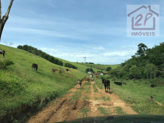 Imagem Fazenda à Venda, 1.984.400 m² em Ribeirão Grande - Pindamonhangaba Imagem Fazenda à Venda, 1.984.400 m² em Ribeirão Grande - Pindamonhangaba