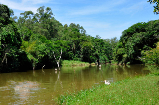 Imagem Terreno à Venda, 6 m² em Centro - Pilar Do Sul