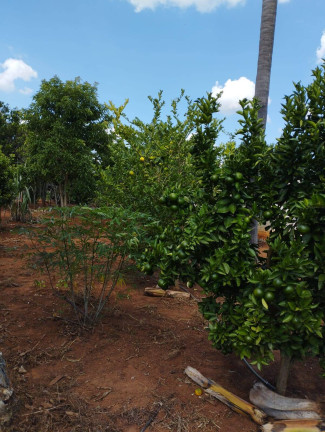 Imagem Chácara com 2 Quartos à Venda, 1.400 m² em Jardim Cananéia - Pilar Do Sul