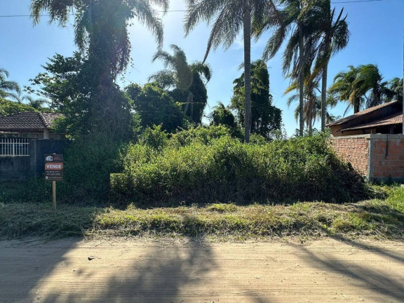 Terreno à Venda, 367 m² em Pinheiros - Balneário Barra Do Sul