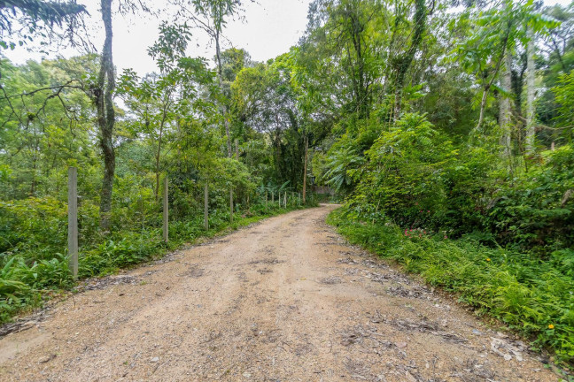 Imagem Terreno à Venda, 745 m² em Santa Felicidade - Curitiba Imagem Terreno à Venda, 745 m² em Santa Felicidade - Curitiba