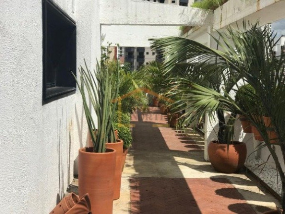 Imagem Cobertura com 5 Quartos à Venda, 600 m² em Santana - São Paulo Imagem Cobertura com 5 Quartos à Venda, 600 m² em Santana - São Paulo