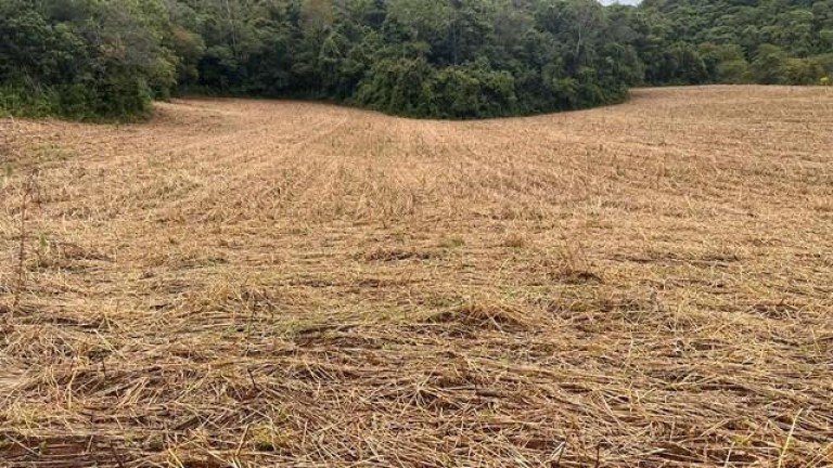 Imagem Imóvel à Venda, 96.800 m² em Meia Lua Dos Freita - Campo Magro Imagem Imóvel à Venda, 96.800 m² em Meia Lua Dos Freita - Campo Magro