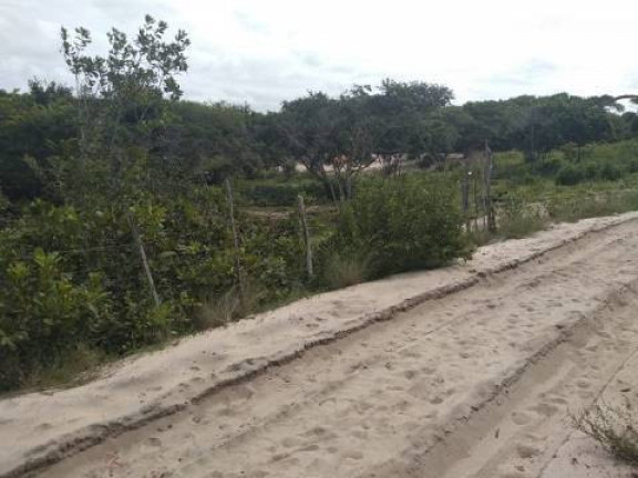 Imagem Terreno à Venda, 5 m² em Tibau Do Sul