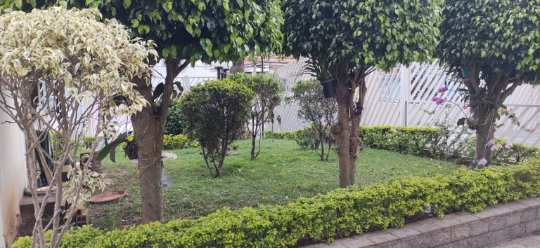 Imagem Apartamento com 3 Quartos à Venda, 79 m² em Saúde - São Paulo Imagem Apartamento com 3 Quartos à Venda, 79 m² em Saúde - São Paulo