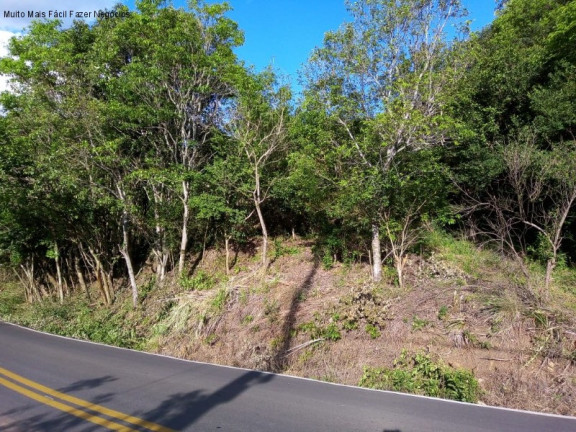 Imagem Terreno à Venda, 6 m² em Linha Temerária - Nova Petrópolis