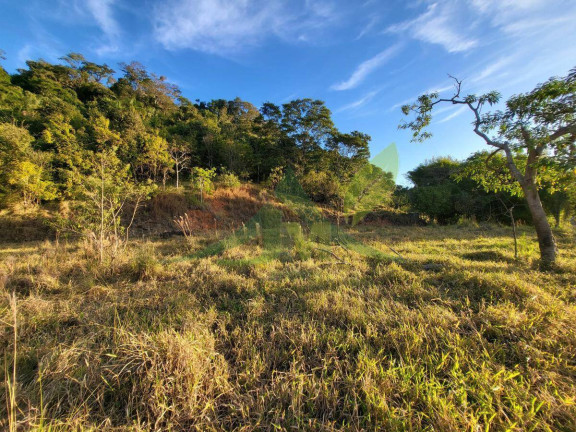 Terreno à Venda, 13.000 m² em Pinhal - Piracaia
