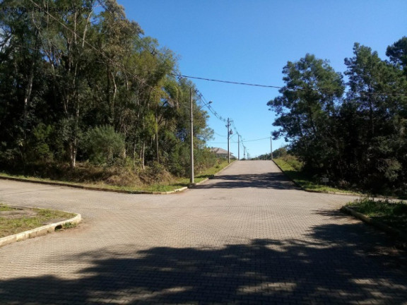 Imagem Terreno à Venda, 1.517 m² em Juriti - Nova Petrópolis Imagem Terreno à Venda, 1.517 m² em Juriti - Nova Petrópolis