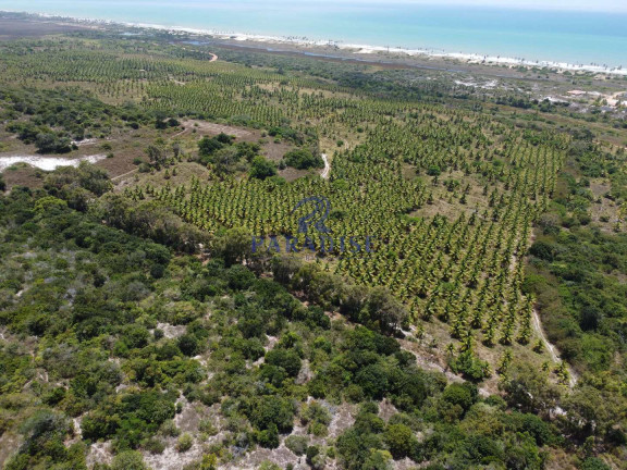 Imagem Fazenda à Venda, 640.000 m² em Barra De Itariri - Conde Imagem Fazenda à Venda, 640.000 m² em Barra De Itariri - Conde