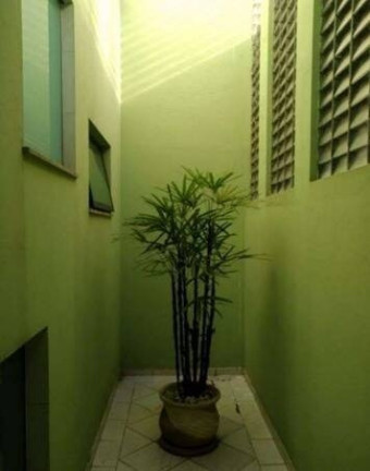 Imagem Sobrado com 3 Quartos à Venda, 201 m² em Vila Gilda - Santo André Imagem Sobrado com 3 Quartos à Venda, 201 m² em Vila Gilda - Santo André