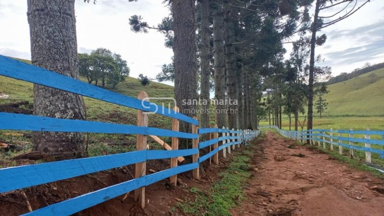 Imagem Imóvel com 5 Quartos à Venda, 375 m² em Pinhal Novo - Lorena
