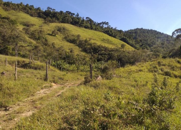 Imagem Fazenda à Venda, 726.000 m² em Tomba - Feira De Santana Imagem Fazenda à Venda, 726.000 m² em Tomba - Feira De Santana