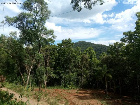 Terreno à Venda, 3 m² em Linha Pirajá Alta - Nova Petrópolis