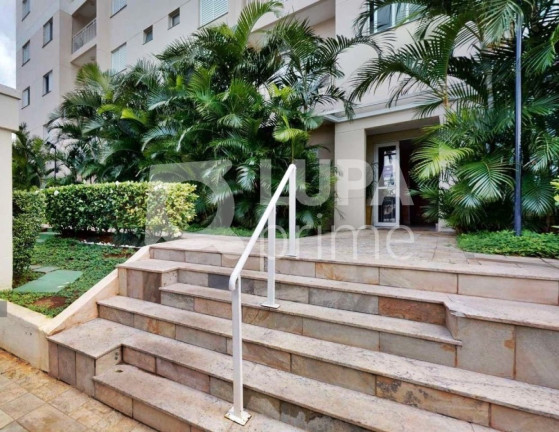 Imagem Apartamento com 3 Quartos à Venda, 63 m² em Vila Guilherme - São Paulo Imagem Apartamento com 3 Quartos à Venda, 63 m² em Vila Guilherme - São Paulo