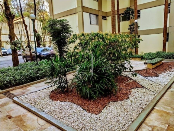 Imagem Apartamento com 3 Quartos à Venda, 80 m² em Chácara Flora - São Paulo Imagem Apartamento com 3 Quartos à Venda, 80 m² em Chácara Flora - São Paulo