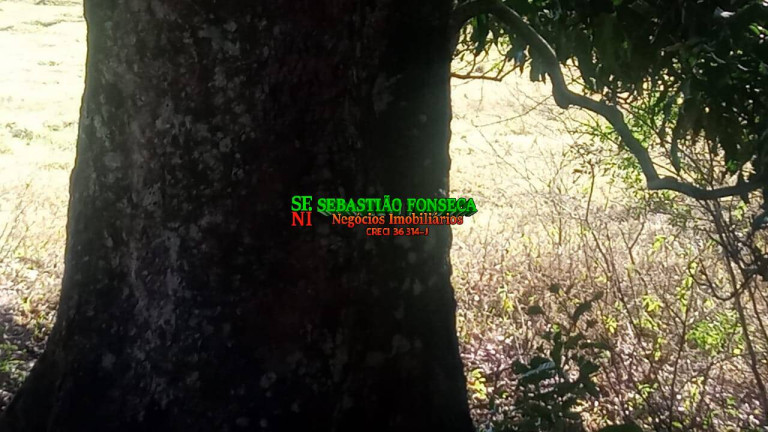 Imagem Terreno à Venda, 31.000 m² em Centro - Caçapava Imagem Terreno à Venda, 31.000 m² em Centro - Caçapava