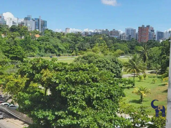 Imagem Apartamento com 2 Quartos à Venda, 63 m² em Pituba - Salvador Imagem Apartamento com 2 Quartos à Venda, 63 m² em Pituba - Salvador