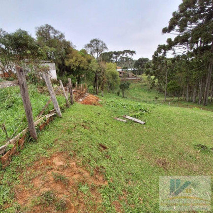 Imagem Terreno à Venda, 1.600 m² em Colonia Murici - São José Dos Pinhais