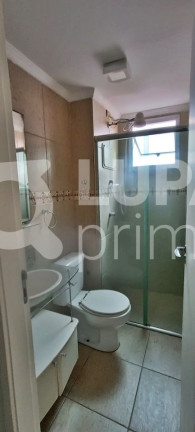 Imagem Apartamento com 2 Quartos à Venda, 50 m² em Vila Maria - São Paulo Imagem Apartamento com 2 Quartos à Venda, 50 m² em Vila Maria - São Paulo