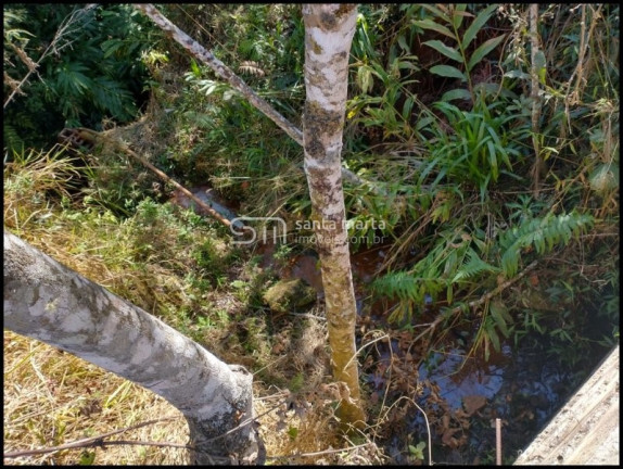 Imagem Imóvel com 3 Quartos à Venda, 1.161.600 m² em Lagoa - Silveiras