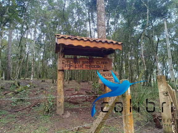 Imagem Chácara com 8 Quartos à Venda, 33.000 m² em Rio Da Várzea - Quitandinha