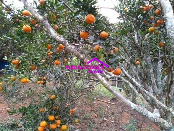 Imagem Chácara com 10 Quartos à Venda, 290.000 m² em Serra Do Capim - Teresópolis Imagem Chácara com 10 Quartos à Venda, 290.000 m² em Serra Do Capim - Teresópolis
