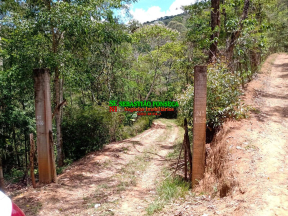 Imagem Chácara com 2 Quartos à Venda, 24 m² em Centro - Monteiro Lobato Imagem Chácara com 2 Quartos à Venda, 24 m² em Centro - Monteiro Lobato