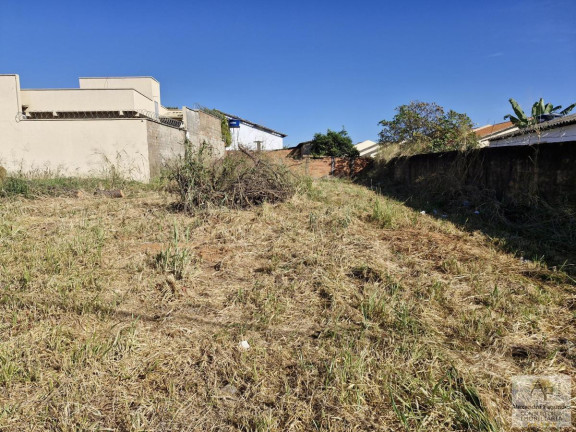 Imagem Terreno à Venda, 505 m² em Cardoso Continuação - Aparecida De Goiânia Imagem Terreno à Venda, 505 m² em Cardoso Continuação - Aparecida De Goiânia