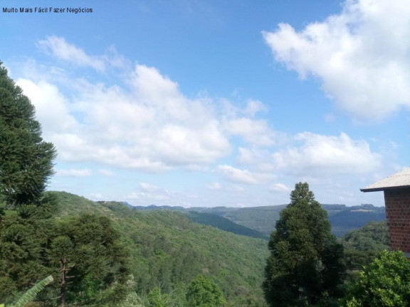 Terreno à Venda, 551 m² em Centro - Nova Petrópolis