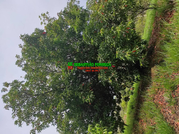 Imagem Chácara à Venda, 20.000 m² em área Rural De Caçapava - Caçapava Imagem Chácara à Venda, 20.000 m² em área Rural De Caçapava - Caçapava