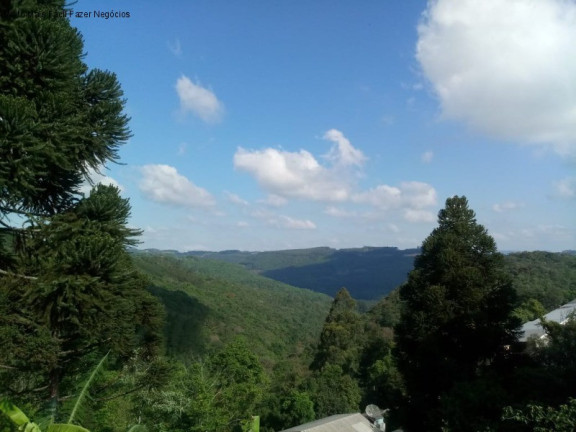 Imagem Terreno à Venda, 551 m² em Centro - Nova Petrópolis Imagem Terreno à Venda, 551 m² em Centro - Nova Petrópolis