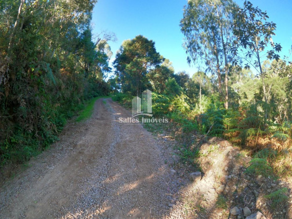 Imagem Terreno à Venda, 10.000 m² em São Cristovão - Flores Da Cunha Imagem Terreno à Venda, 10.000 m² em São Cristovão - Flores Da Cunha