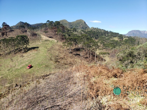 Imagem Imóvel à Venda, 30.000 m² em Zona Rural - Alfredo Wagner Imagem Imóvel à Venda, 30.000 m² em Zona Rural - Alfredo Wagner