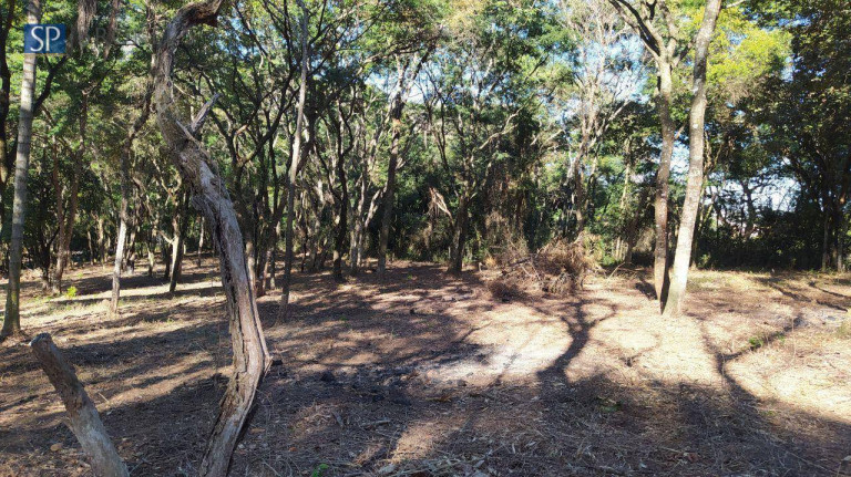 Imagem Terreno à Venda, 3.600 m² em Laranjeiras - Caieiras