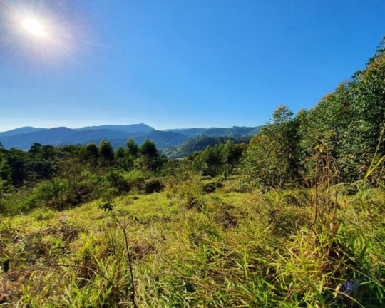 Imagem Terreno à Venda, 96.000 m² em Dom Joaquim - Brusque