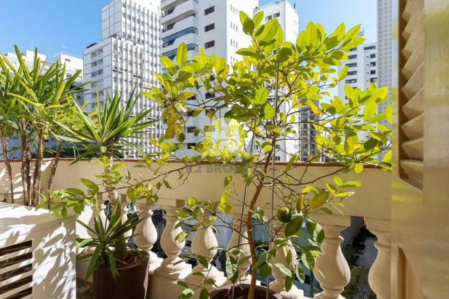 Imagem Apartamento com 3 Quartos à Venda, 220 m² em Higienópolis - São Paulo Imagem Apartamento com 3 Quartos à Venda, 220 m² em Higienópolis - São Paulo
