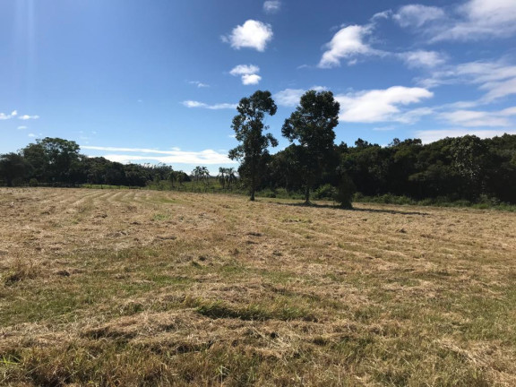 Imagem Terreno à Venda, 19.946 m² em Centro - Terra De Areia Imagem Terreno à Venda, 19.946 m² em Centro - Terra De Areia