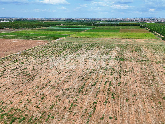 Imagem Fazenda à Venda, em área Rual - Petrolina Imagem Fazenda à Venda, em área Rual - Petrolina